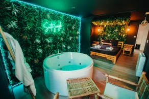 Suite Jungle - Image 2
