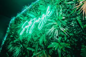 Suite Jungle - Image 3