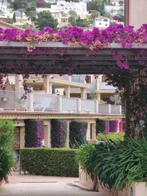 Casa Violette - Image 2