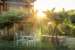 Romantic panoramic farmhouse near Siena - Image 5