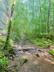 Scout Cabin on a Trout Creek | Cohutta Wilderness - Image 5