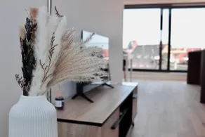 Ghent Penthouse - Image 3