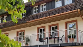 New apartment Auerhahn - Reichenbacher Hof, edge of the forest - Image 3