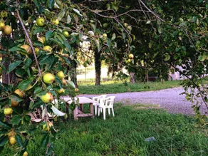 Gavi Outlet Apartment - Serravalle Designer Outlet - Image 5