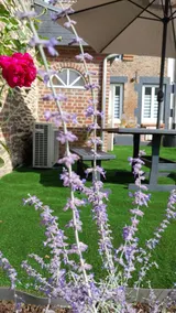 Le Scailleteux, air-conditioned cottage / 2* - Image 3