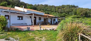 House in the Monchique mountains - Image 3