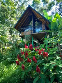 Romantic Jungle Cabin • Waterfall + Free Breakfast - Image 2