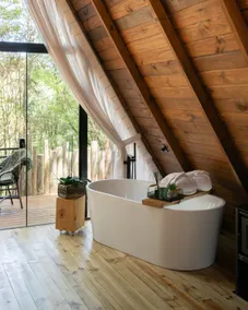 Lohma Nature - Araucária Cabin - Canela, RS - Image 5