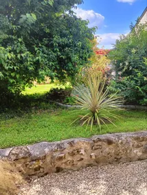 The little house in the nature - Image 5