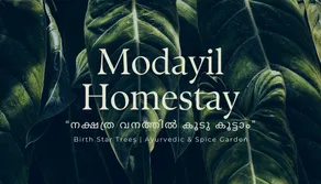 Peaceful Kerala Home Between Thekkady & Munnar - Image 5