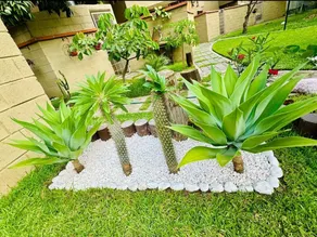 New! Bamboo El Oasis (Pool & Family) - Image 3
