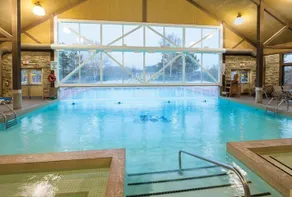 King Suite-Pool, Hot tub - Near Horseshoe Valley - Image 3
