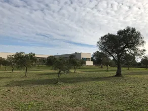 [ Cima Apartment ] - Masseria La Lazzara - Image 5