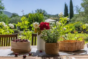Escape to Umbria, a quiet farmhouse - Image 3