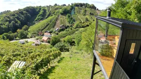 Vineyard View by GoldenPinpoint - Image 4
