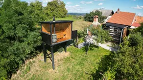 Vineyard View by GoldenPinpoint - Image 3