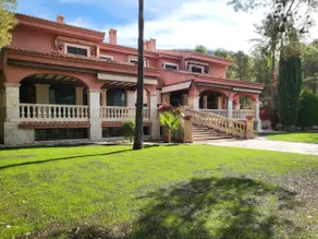 Finca La Reina - Image 4
