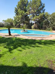 Finca La Reina - Image 2