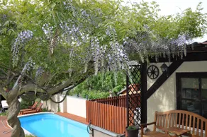 Apartmán Bílá Hora - Image 3