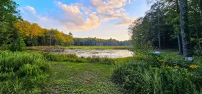 Serene Rustic Retreat with Lake - Image 3