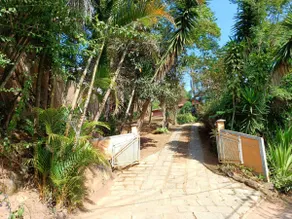 grandma's house - Image 4