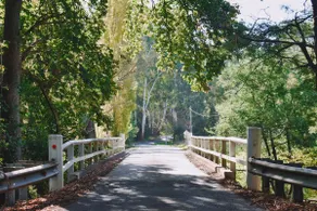 The Mini - River frontage & 300m to Main St. - Image 3