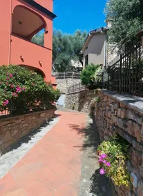 House among olive trees and the sea. - Image 2