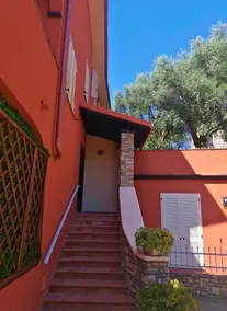 House among olive trees and the sea. - Image 3