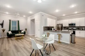 1BR Raven Flats B! | TMC, Hermann Park & Museums - Image 4