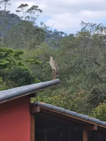 Brisa do Rio 2 Farmhouse - Image 4