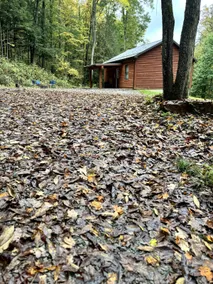 Hawks Nest Stay - Image 4