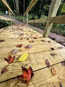 Hawks Nest Stay - Image 5