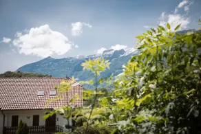 4 Sheeps Apartments with Balcony | Free parking - Image 2