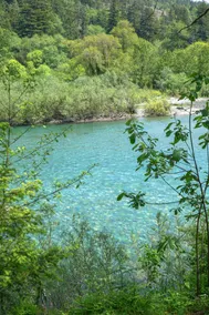 Emerald River Retreat- River-Front, Spa & Fire pit - Image 4