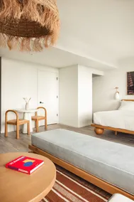 Studio Suite - Image 5