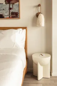 Studio Suite - Image 3