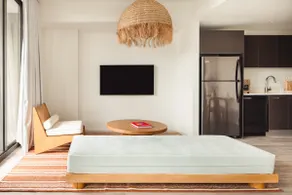 Studio Suite - Image 4