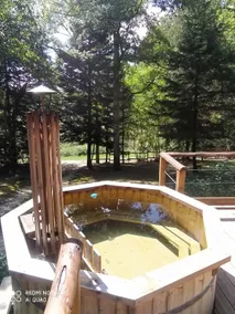 Forest retreat with a Nordic bath under the stars - Image 3