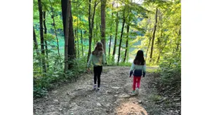 Huge Beautiful Lakefront Home with Trails near Ark - Image 3