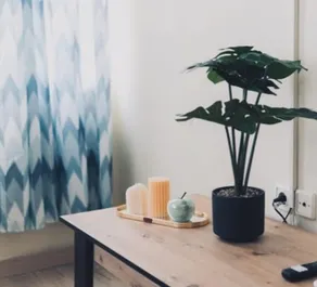Euphoria Escape | Cozy Apartment for 3 - Image 4