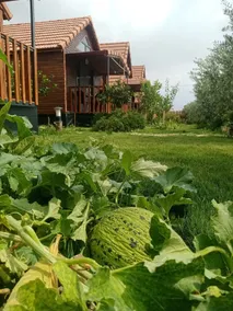 Riviera Bungalow Evleri Demre - Image 3