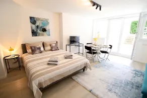 Spacious studio + 32 m² terrace - Image 3