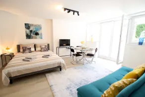 Spacious studio + 32 m² terrace - Image 2