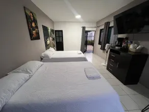 Terranova Loft Orizaba·Roof Garden·Garage Privado - Image 3