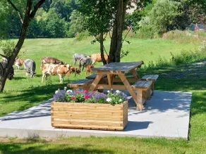 Gîte Les Longs Prés - Image 3