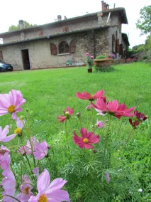 Rosso Papavero Home - Image 2