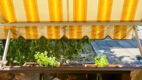 Casa Pineta - Image 5