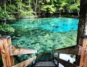 Sunny Springs Oasis - Image 3
