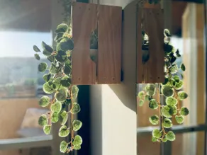 Green Holiday Penthouse - Image 4