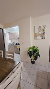 New! Residence in Jiutepec - Image 4